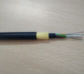 ADSS-48B1-100-PE全介质自承式光缆
