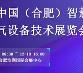 龙和电气亮相-CHINA(合肥)2021年智慧电力电气展览会