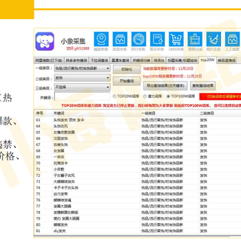 拼多多无货源店群软件代理加盟，精细化店群