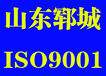 郓城县ISO9001认证郓城质量管理体系认证公司