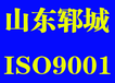 郓城ISO体系认证办理公司郓城ISO9001质量管理体系认证