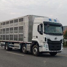 国六柳汽乘龙小三轴运猪车/双层畜禽运输车/铝合金恒温猪仔运输车