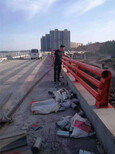 杭州桥梁防撞护栏每米价格图片1