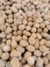 泰州陶粒厂家，泰州建筑陶粒，泰州页岩陶粒