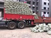 温州陶粒厂家，温州建筑回填陶粒，温州陶粒滤料，送货上门