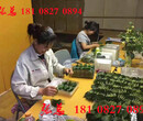 漢中出國打工急需正規公司尋代理川菜廚師、粵菜廚師、