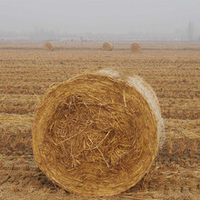 秸秆打捆网圆捆机包草网玉米秸秆网捆草网牧草网图片