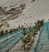塑华新型材料固沙网方格式平织阻沙网甘肃沙漠治理防沙网