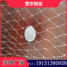 果園果樹攔鳥網(wǎng)葡萄攔鳥網(wǎng)櫻桃園攔鳥網(wǎng)
