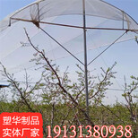 辽宁热门防雹网质量可靠,果园防雹网图片1