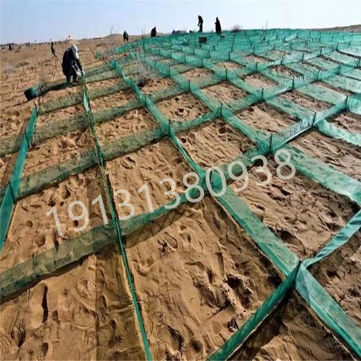 青藏铁路防沙网高立式防风固沙网HDPE沙障网