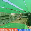 大跨度防塵天幕基坑綠色天幕防塵系統(tǒng)保衛(wèi)藍(lán)天防風(fēng)抑塵網(wǎng)