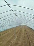 蔬菜种子生产防虫网种子繁殖防昆虫网白色虫网厂家