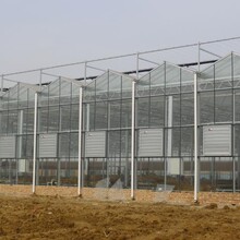 鑫藝農(nóng)溫室溫室主體骨架