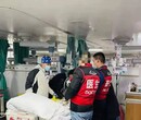 阳东区120救护车出租-病人出院车接送医帮扶护送图片