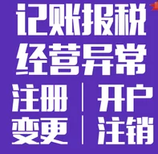 海南公司代理记账选哪家/海口会计财务代理/代理公司记账报税/代图片1