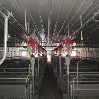 华邦供应自动化养猪料线，60塞盘料线厂家