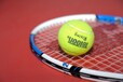 模拟网球开发模拟网球定制数字运动造型美观