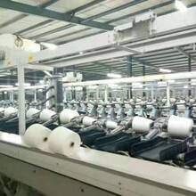 针织机织气流纺大化涤纶纱