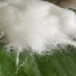 无机纤维喷涂棉的优点绵阳喷涂棉厂家