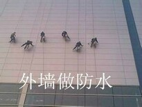 上海徐匯區外墻做防水補漏外墻吊繩打膠做防水電話圖片0