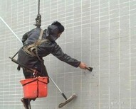 上海徐匯區外墻做防水補漏外墻吊繩打膠做防水電話圖片1