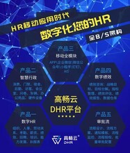 數字化DHR人力資源管理軟件系統圖片