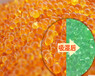 山东青岛厂家橙色变色硅胶500g相机耳蜗钢琴用1-3-5无钴