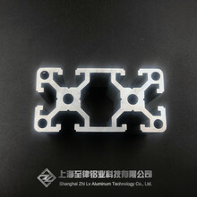 ZL-8-4080D工业铝型材定制花雕木—上海至律铝业
