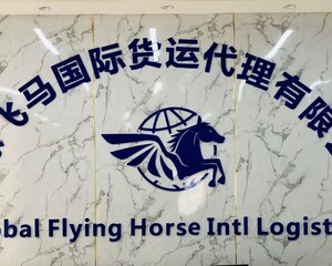 广州全球飞马国际货运代理有限公司