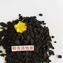 供應(yīng)果殼活性炭?jī)羲钚蕴款w?；钚蕴慷噱X一噸