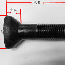 衬板螺栓螺栓8.8级鹅蛋丝椭圆头螺栓破碎机用螺栓