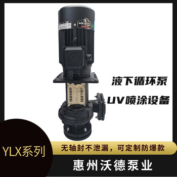YLX850-100液下泵喷漆循环泵