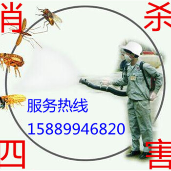 广州越秀区杀虫公司室内消毒灭蚊虫蟑螂公司