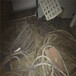 龙凤区库存电缆回收废旧电缆回收