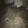 潍城区库存电缆回收高价回收