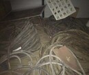 宁河二手电缆回收电缆线回收上门回收
