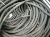 沾化区废铜铝线回收现场结算各种报废电缆电线回收