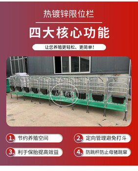 母猪定位栏限位栏带食槽复合漏粪板五丰畜牧