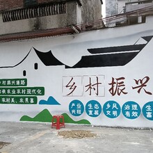 新农村墙绘