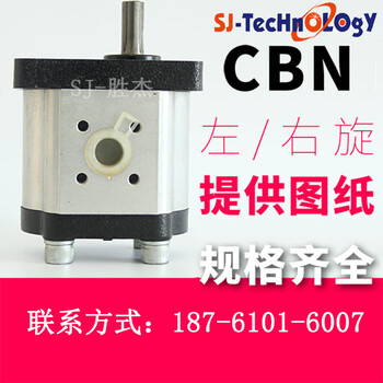 齿轮泵型号CBN耐高温高压液压齿轮油泵