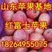 江西紅富士蘋果價格江西九江蘋果基地撫州蘋果價格南昌蘋果價格