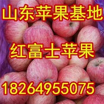 江西红富士苹果价格江西九江苹果基地抚州苹果价格南昌苹果价格