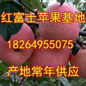 陕西红富士苹果价格陕西苹果基地陕西苹果交易市场陕西苹果产地行情