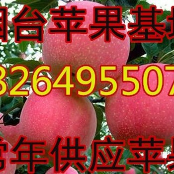 黑龙江苹果批发价格大庆红富士苹果基地牡丹江苹果价格哈尔滨苹果价格