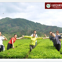 赣州正规茶艺培训学校有吗