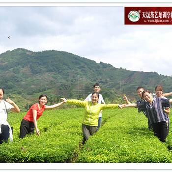 贛州正規(guī)茶藝培訓(xùn)學(xué)校有嗎