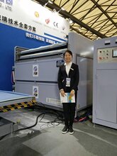 玻璃夹胶炉_夹胶玻璃设备图片