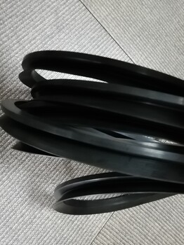 自貢瑞士DICHTA骨架油封廠家