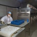 黃粉蟲微波烘干機